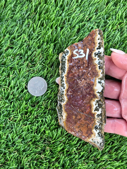 Chihuahua Lace Agate Slabs K530-533