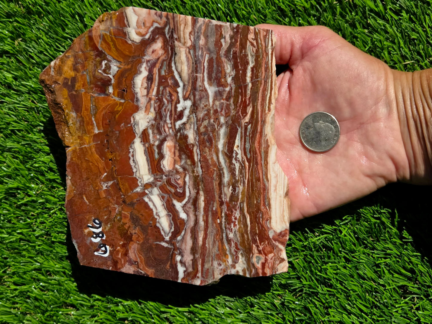 Banded Brecciated Jasper with Agate Slabs O686–689