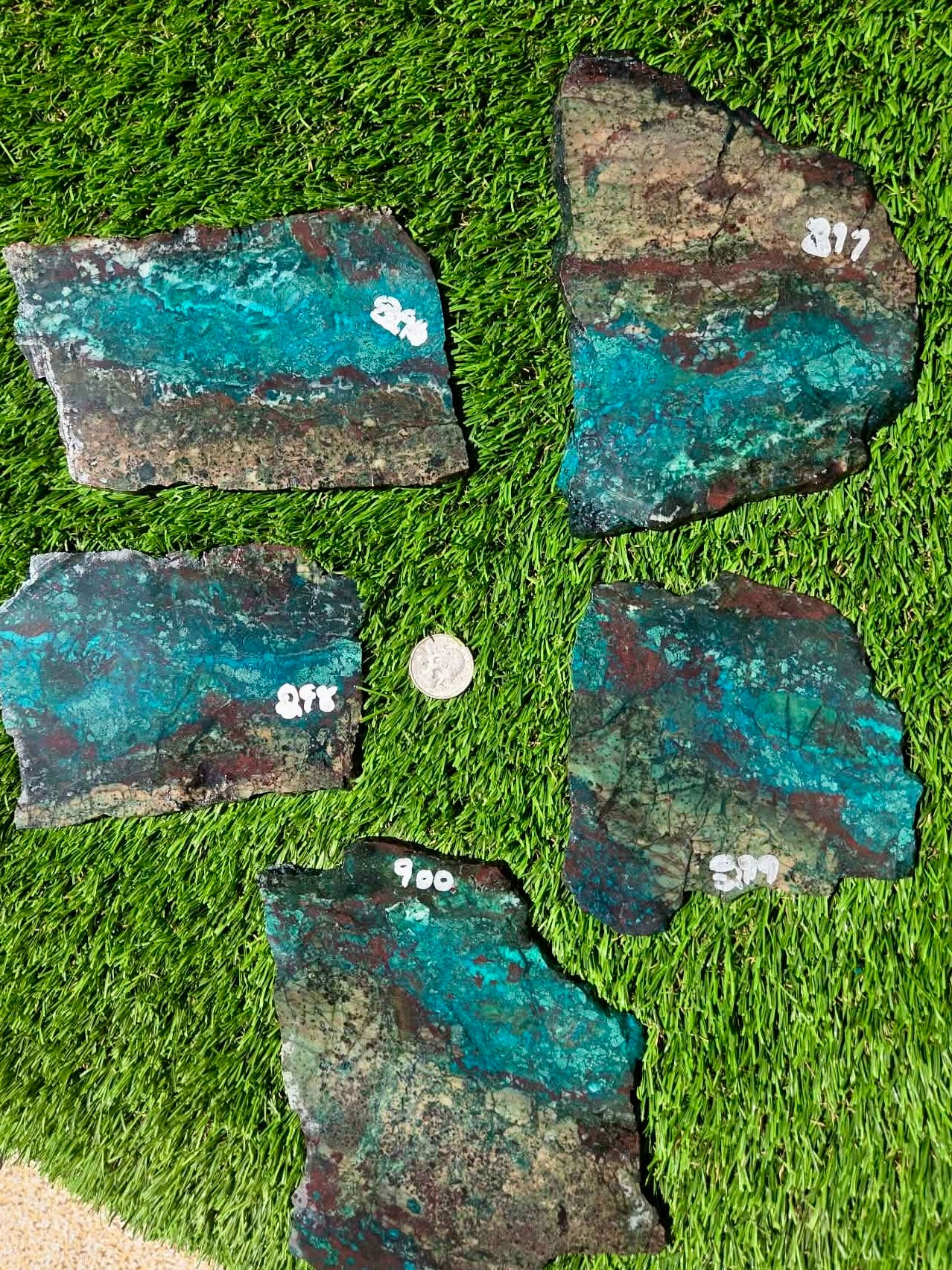 Inspiration Mine Chrysocolla, Malachite & Silica Slabs T896–900