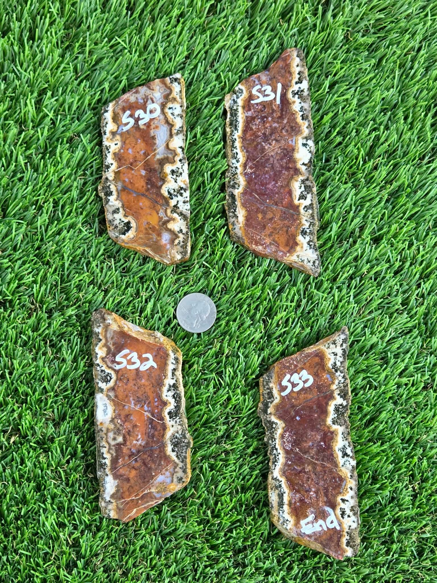 Chihuahua Lace Agate Slabs K530-533