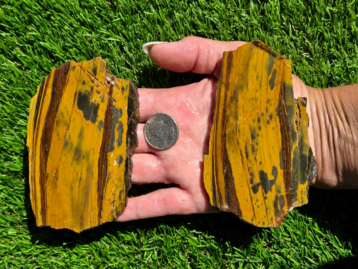 Tiger Iron Slabs O684-685