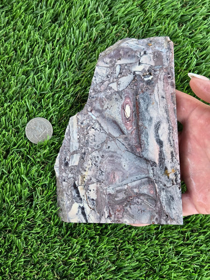 Brecciated Jasper Agate Slabs J508-509