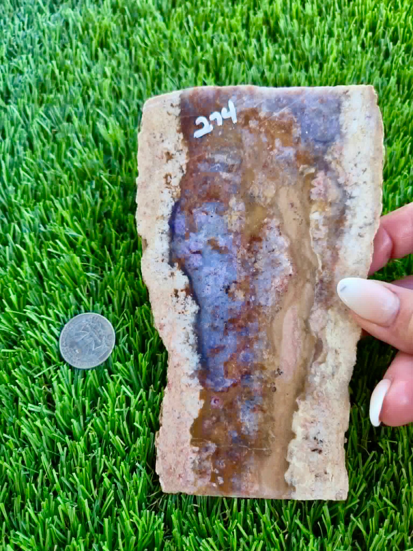 Purple Burro Creek Agate Slab 270-274