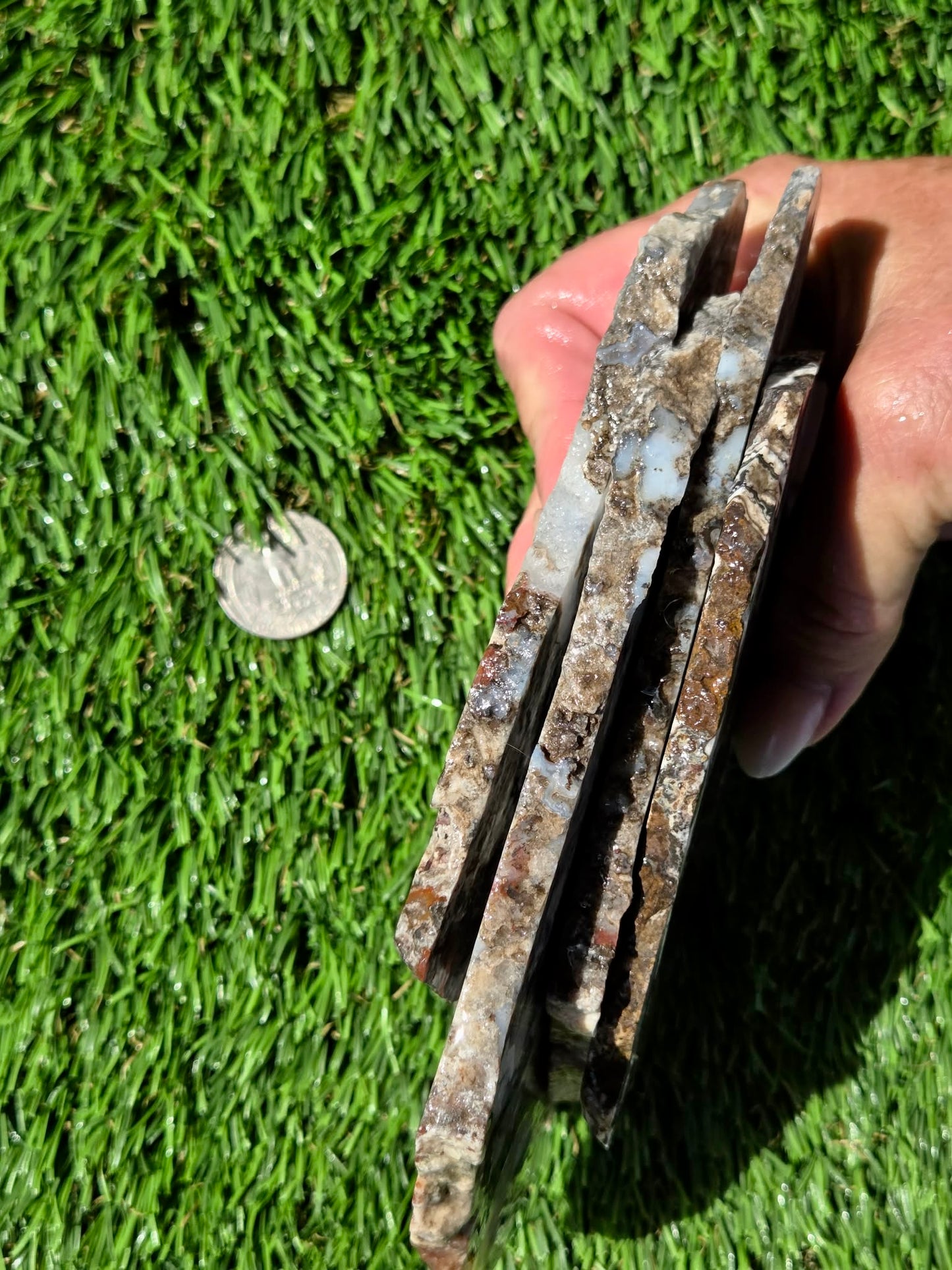 Camp Verde Agate Slabs R848–851