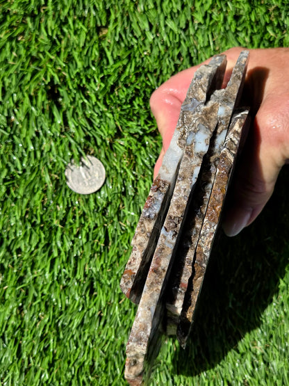 Camp Verde Agate Slabs R848–851