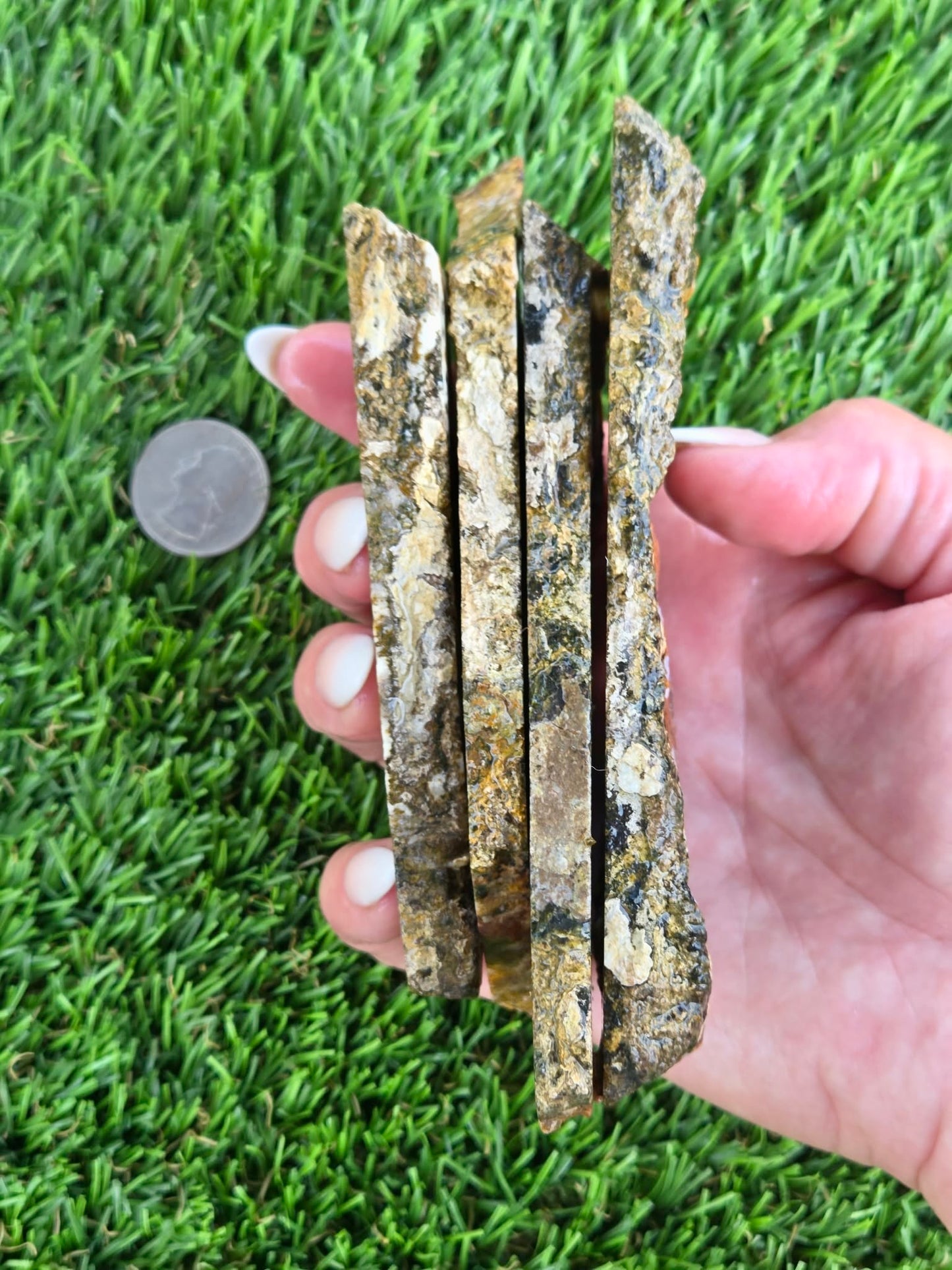 Chihuahua Lace Agate Slabs K530-533