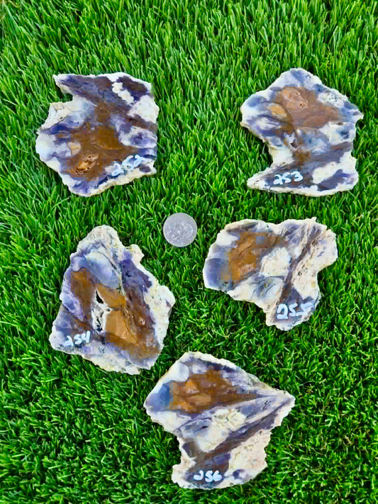 Purple Burro Creek Agate Slab 252-257