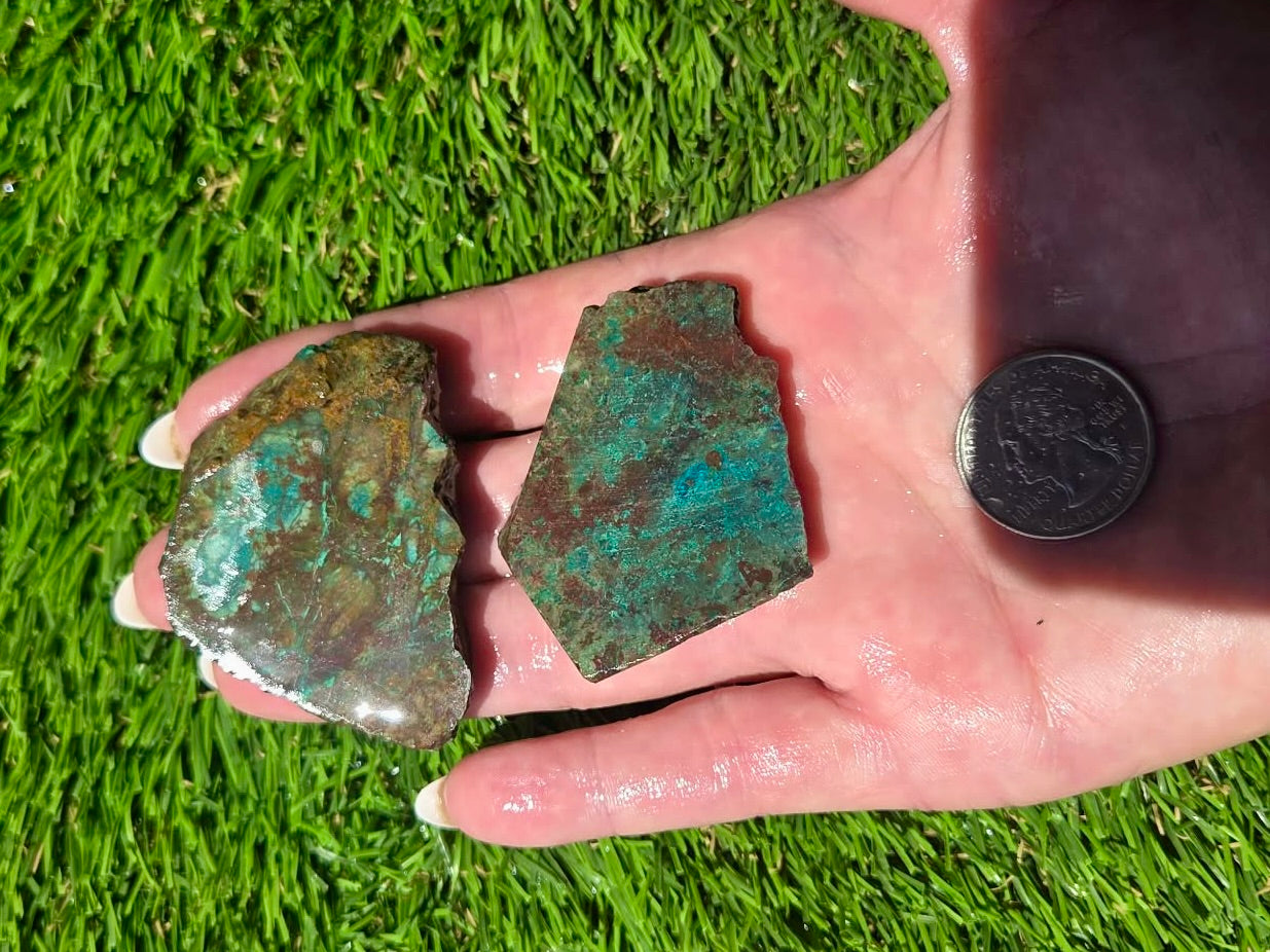 Globe Chrysocolla Slab Bundle-SB81