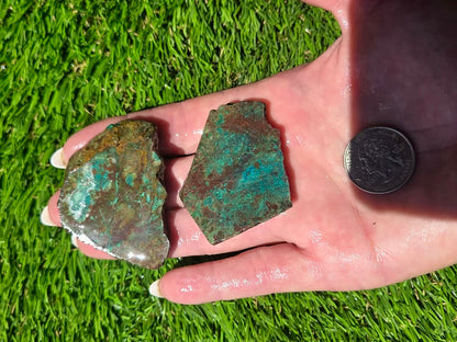 Globe Chrysocolla Slab Bundle-SB81
