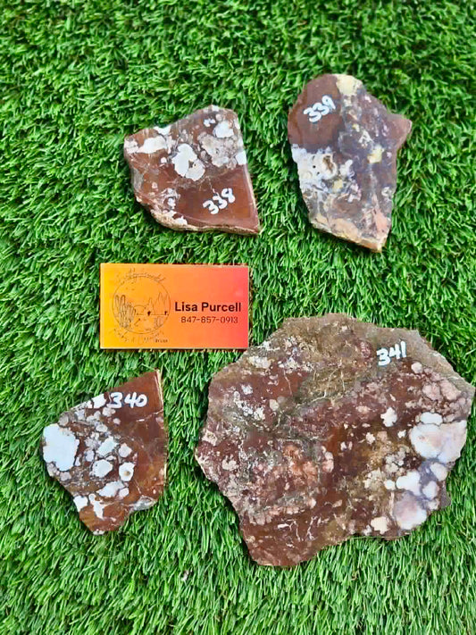 Wild Horse Jasper Slabs G338-341