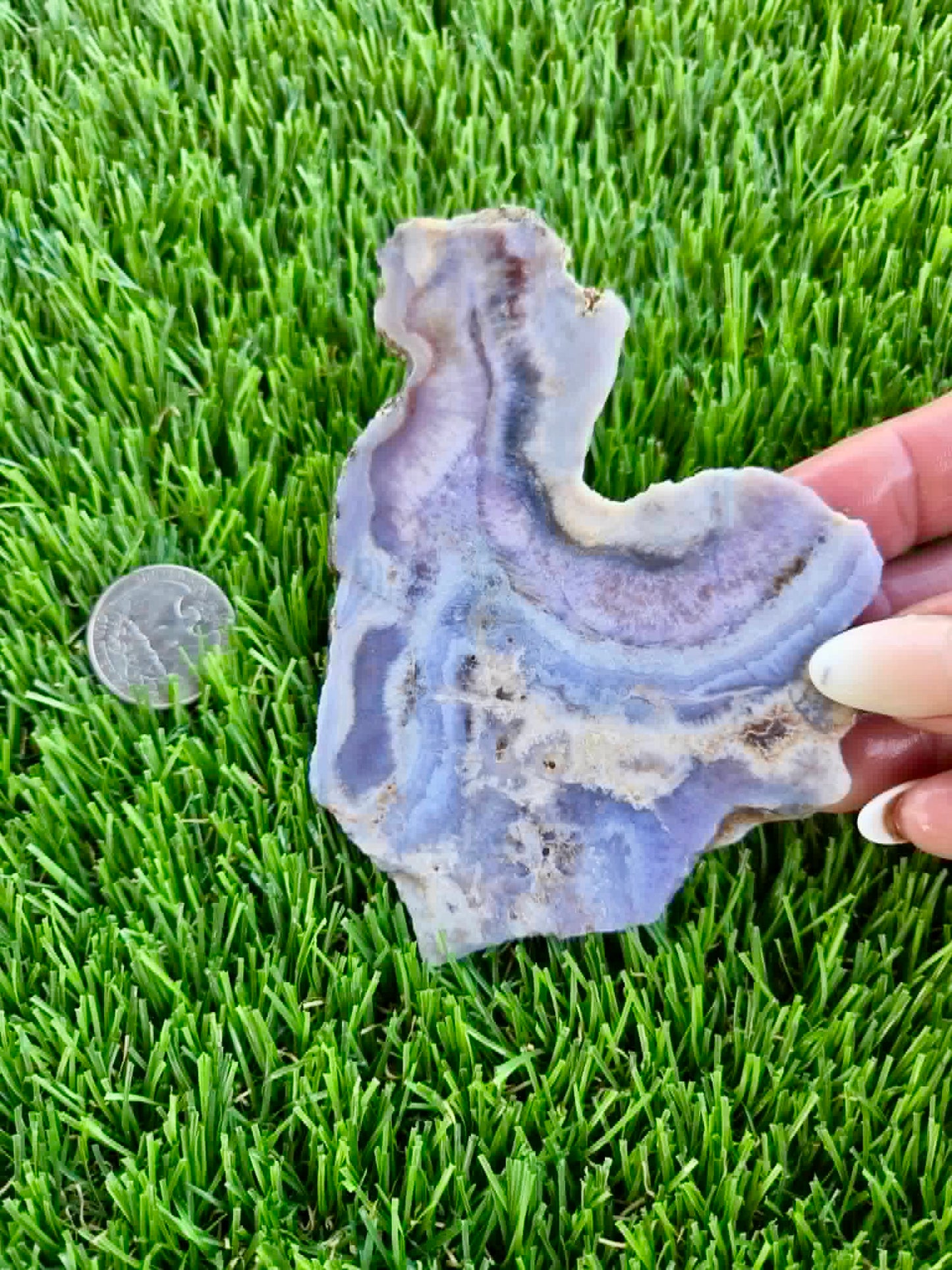 Purple Burro Creek Agate Slab F287-292
