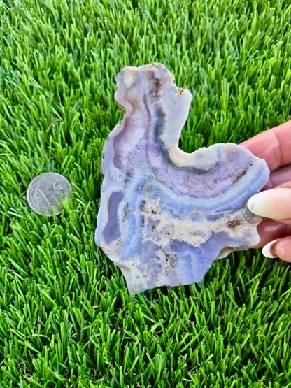 Purple Burro Creek Agate Slab F287-292