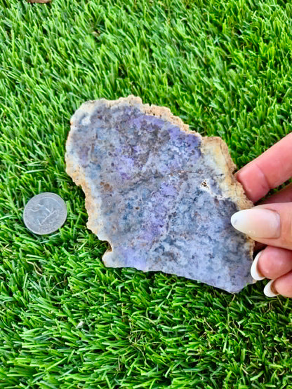 Purple Burro Creek Agate Slab F281-286