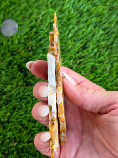 Mexican Honey Fortification Agate Slabs N663-664