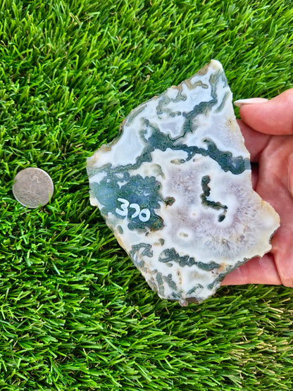 Moss Agate with Crystal Pockets Slabs H366-370
