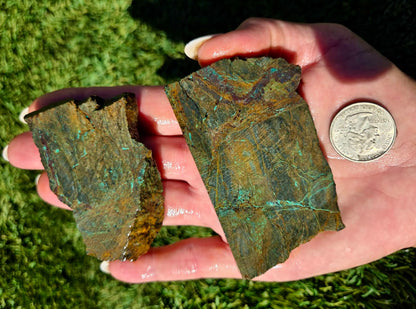 Globe Chrysocolla Slab Bundle-SB31