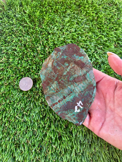 Globe Chrysocolla Slab A41-45