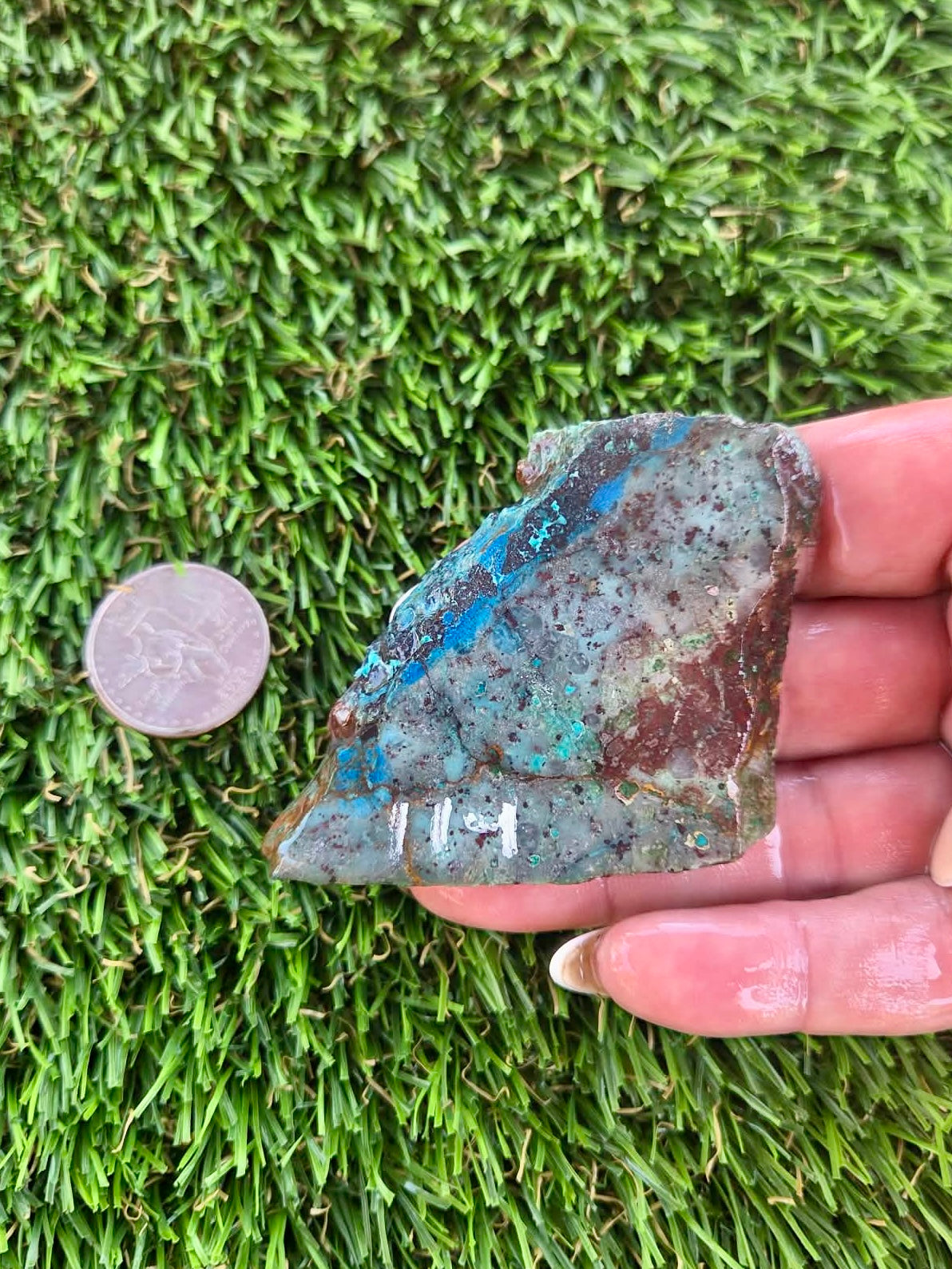 Shattuckite with Azurite & Malachite Slabs B113-119