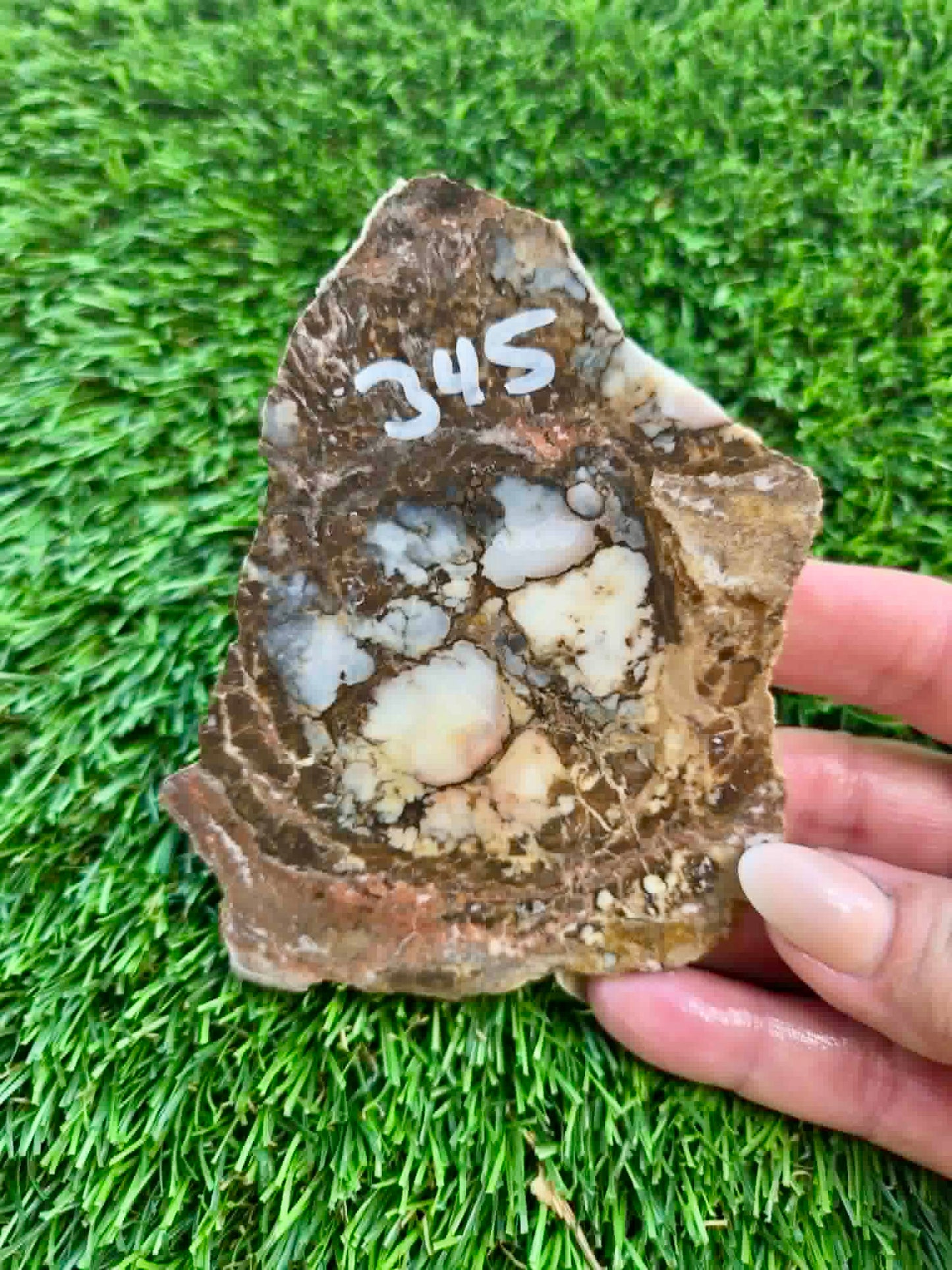Wild Horse Jasper Slabs G342-348