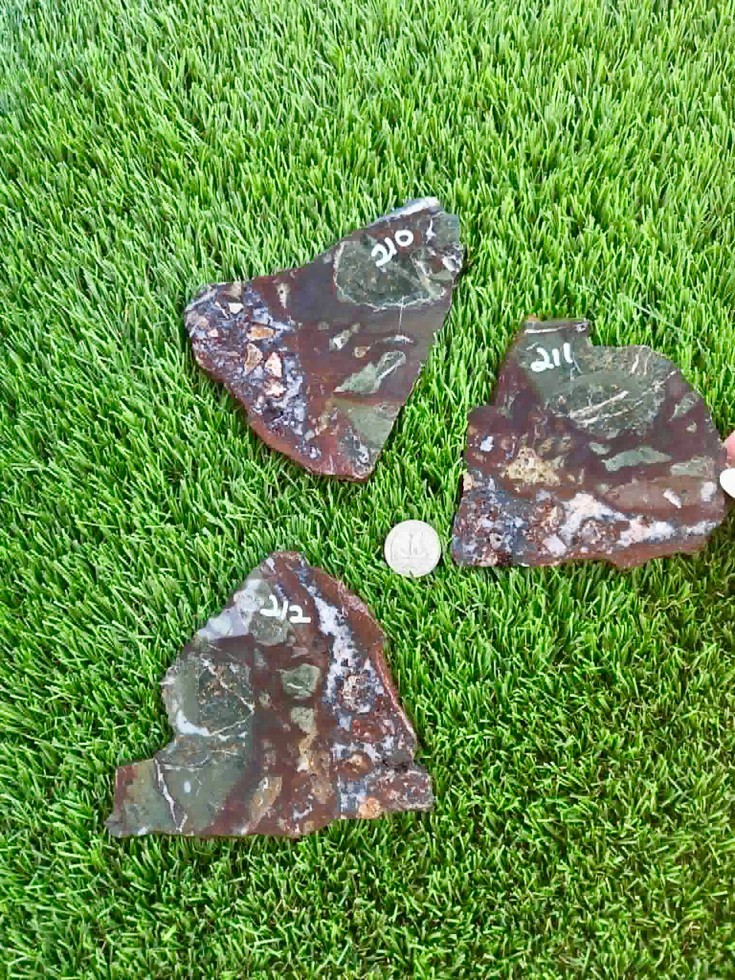 Australian Rainforest Rhyolite Jasper Slab 209-212