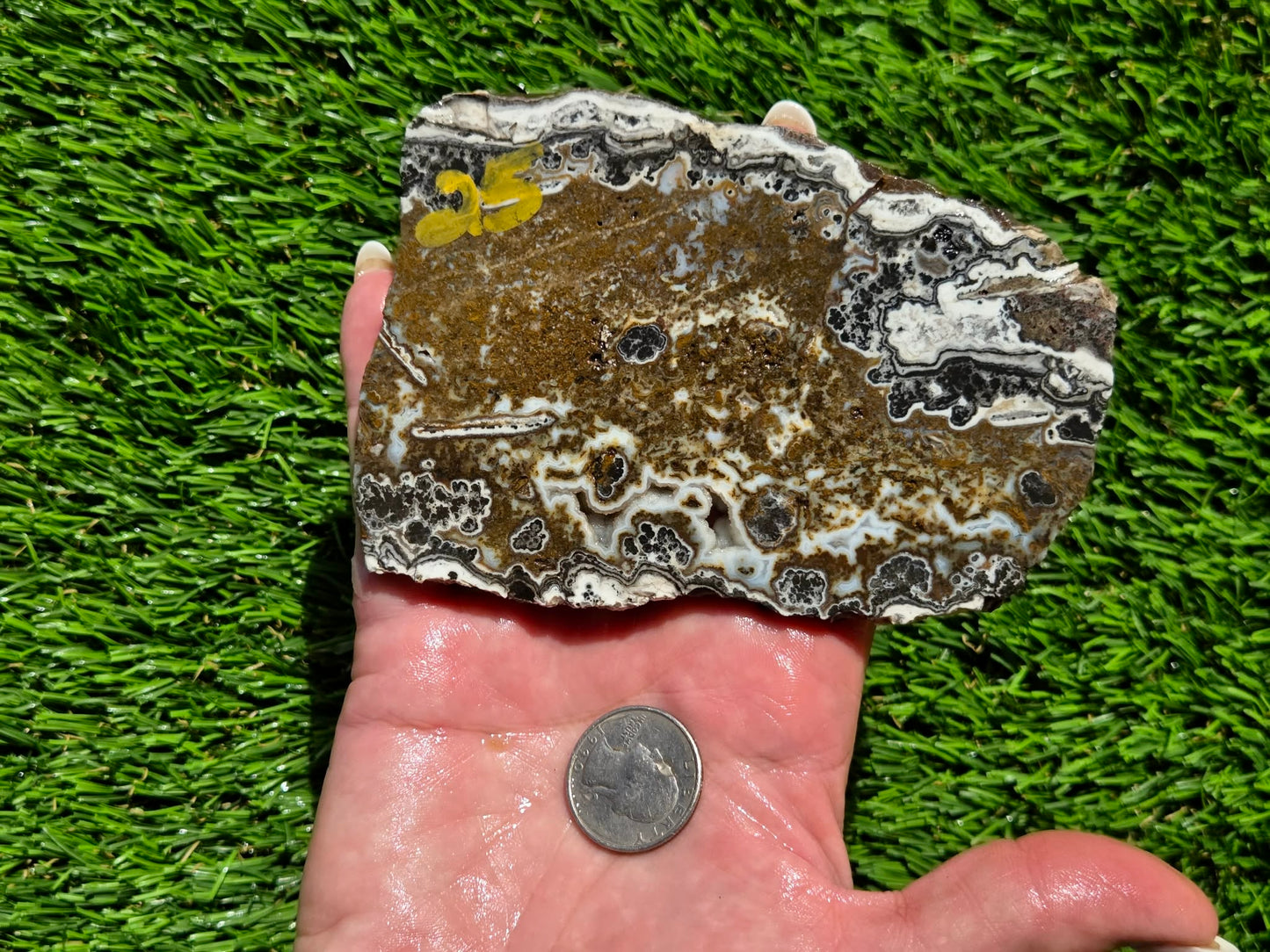 Camp Verde Agate Slabs R848–851