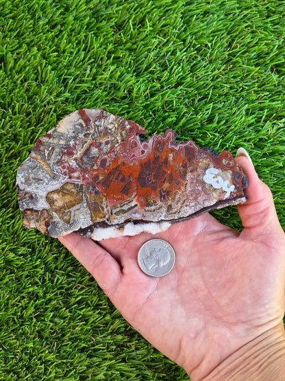 Laguna Lace Agate Slabs Q801–804