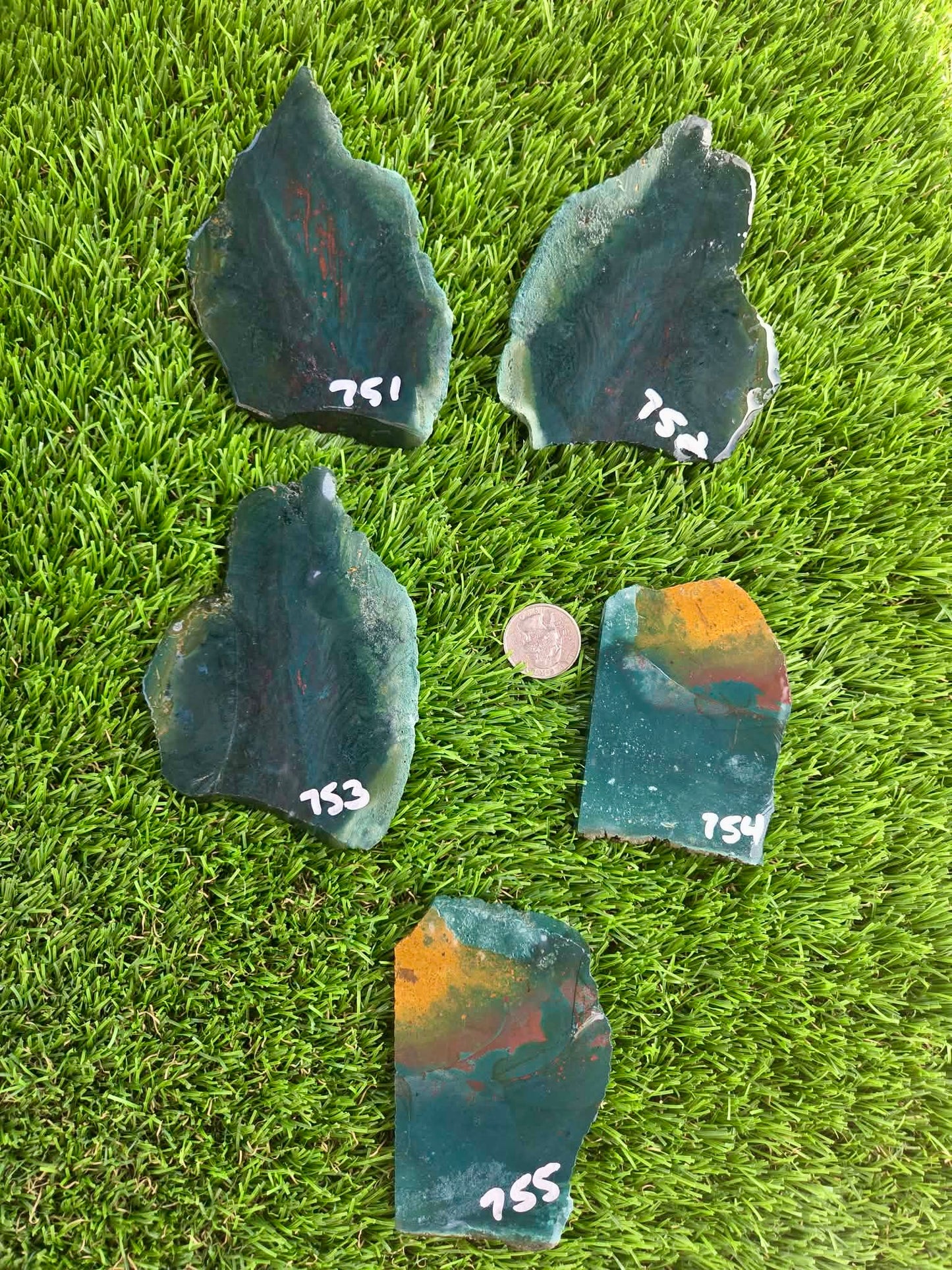 Indonesian Bloodstone Jasper Slabs O751–755