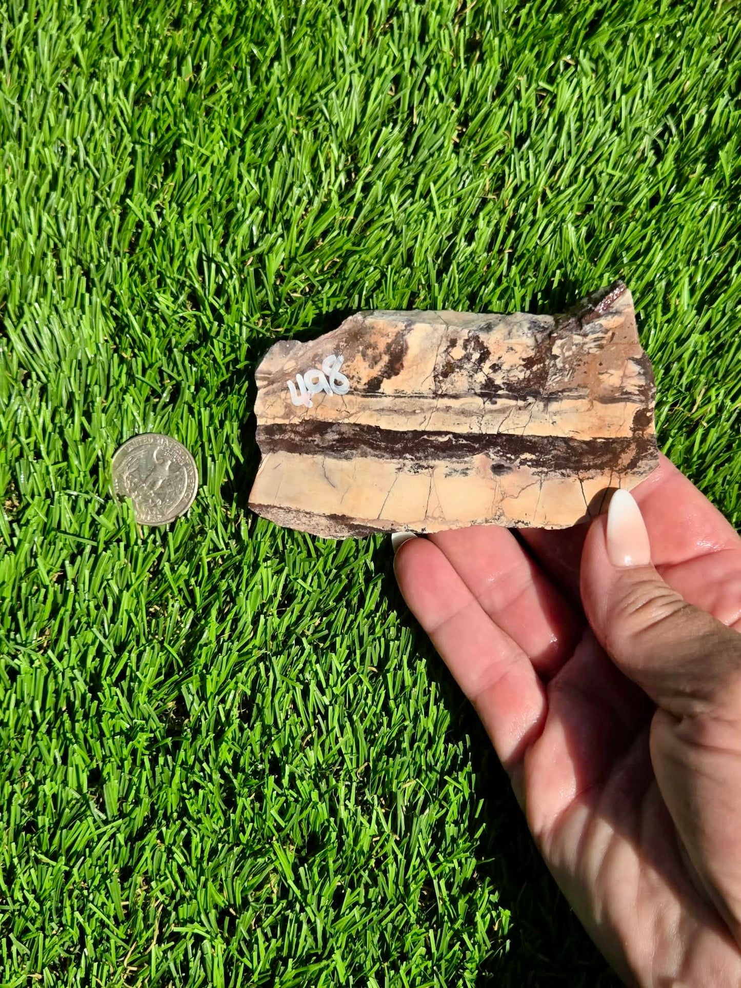 Picasso Jasper Slabs J497-502