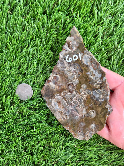 Green Mushroom Rhyolite M601-604