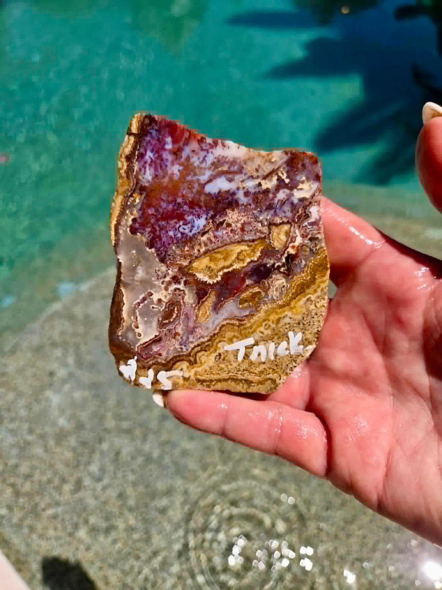 Camp Verde Agate Slab 225-231