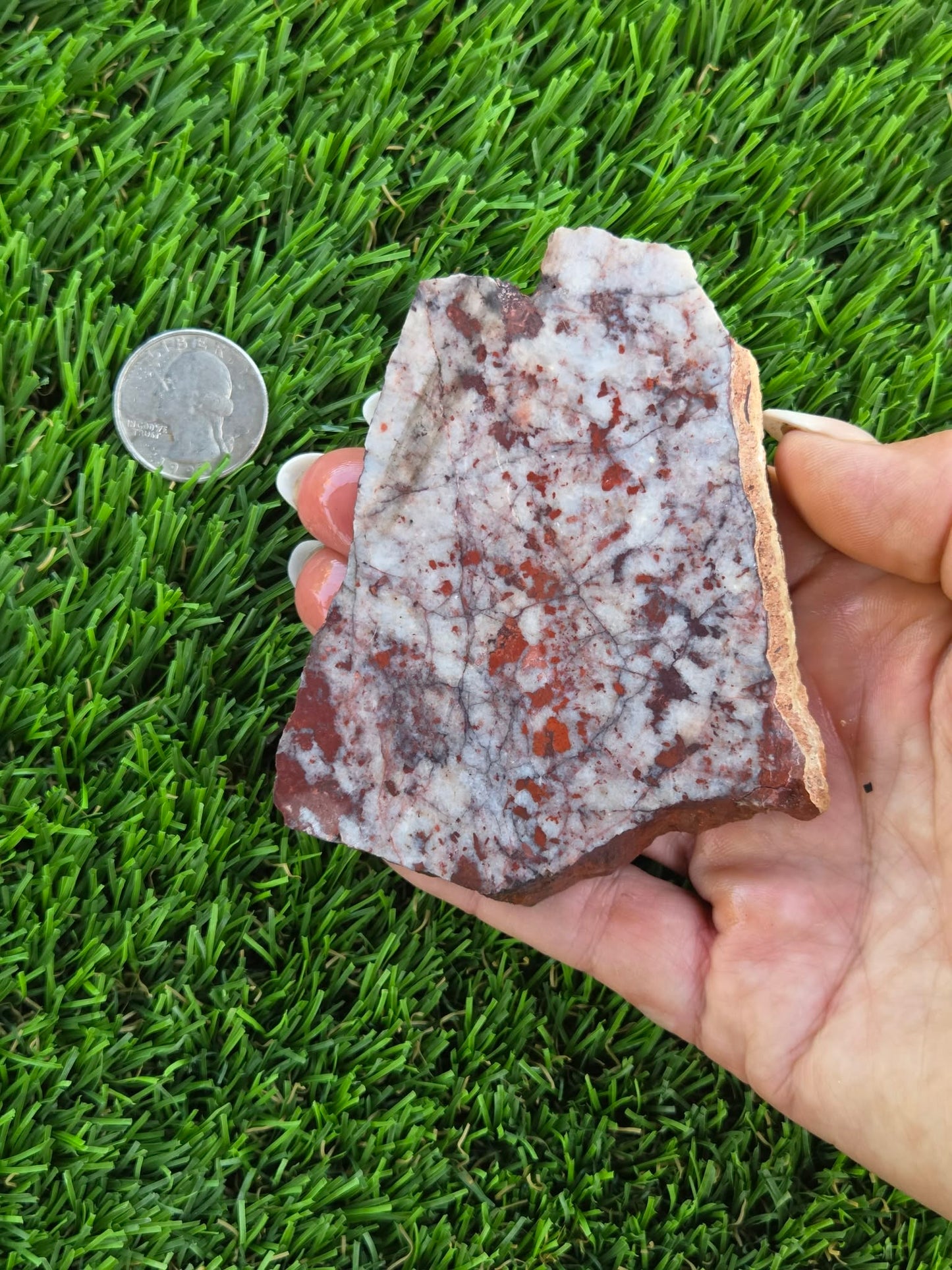 Brecciated Red Jasper with Quartz Slabs O727–730