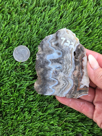 Gray Banded Crazy Lace Agate Slabs O717–723