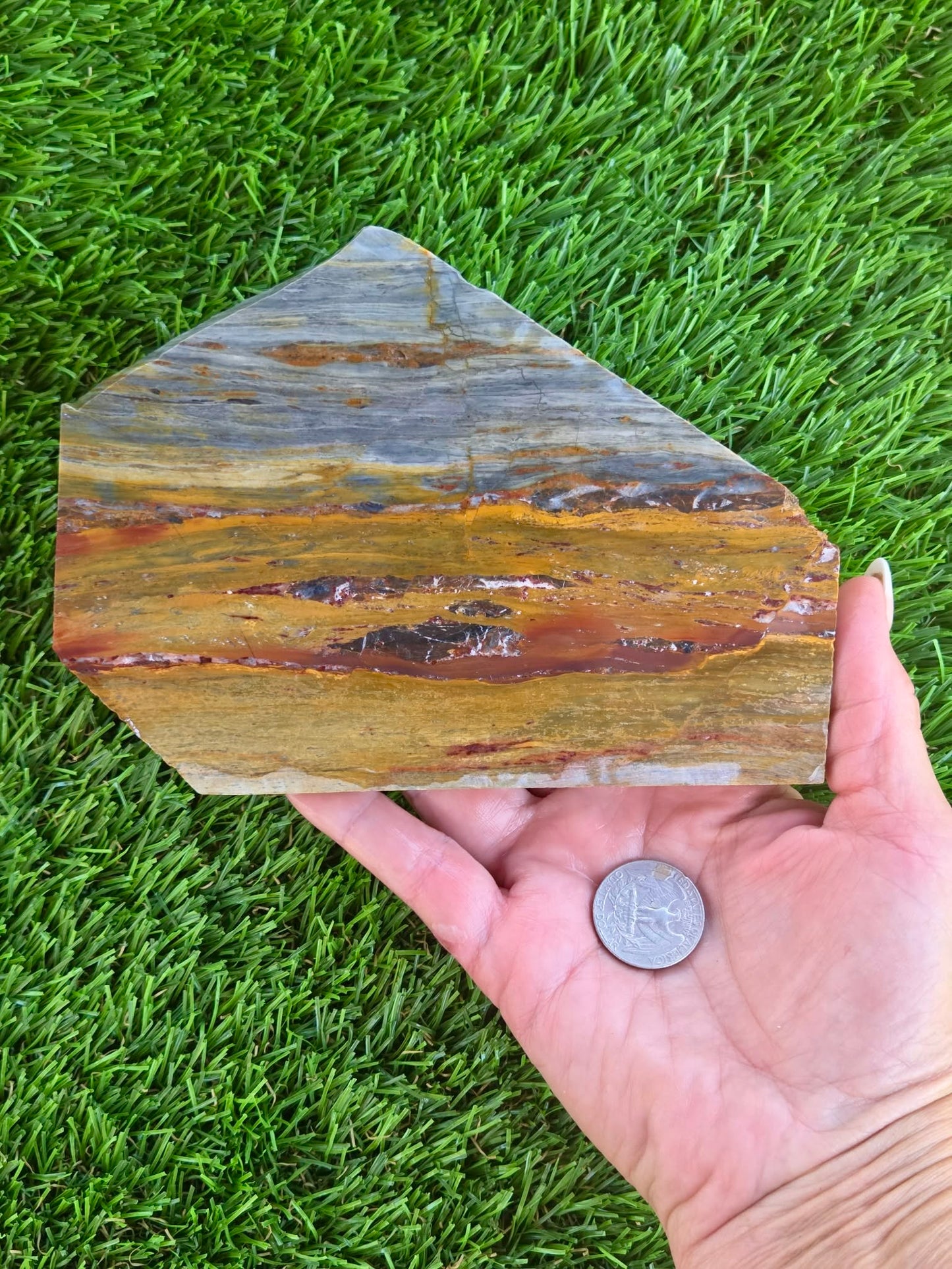 California Picture Jasper Slabs Q805–807