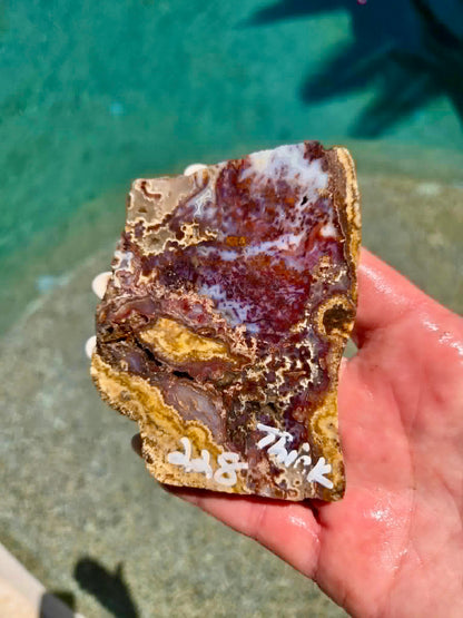 Camp Verde Agate Slab 225-231