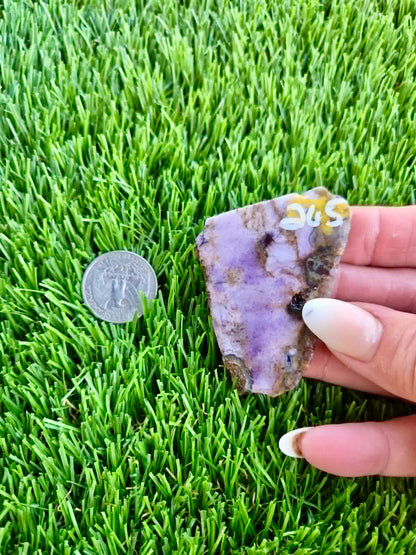 Purple Burro Creek Agate Slab 263-269