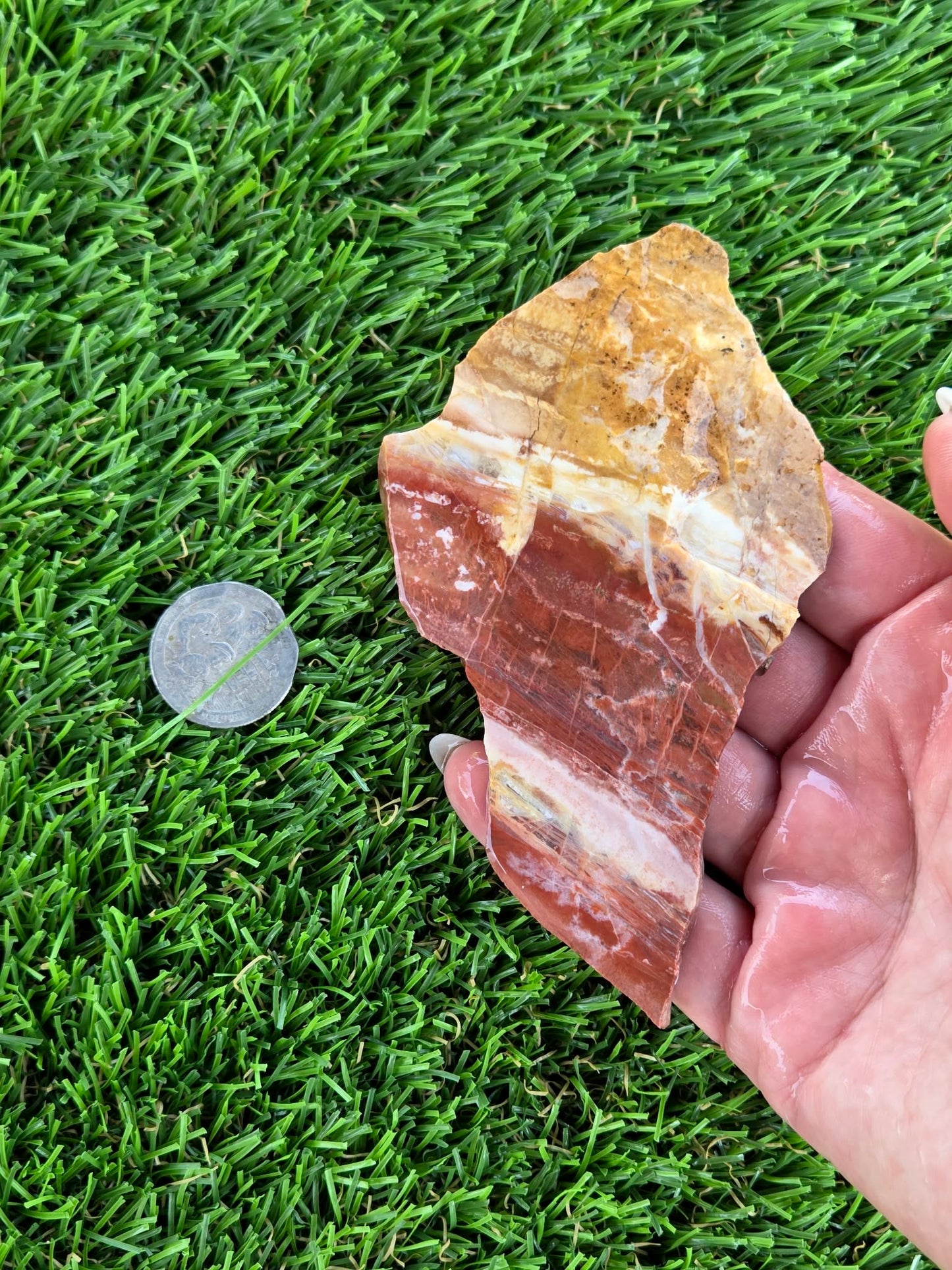Multicolor Banded Jasper Slabs N669-672