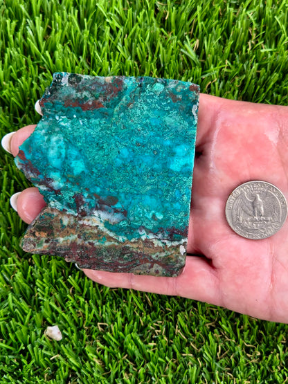 Globe Chrysocolla & Malachite Slabs V985–990