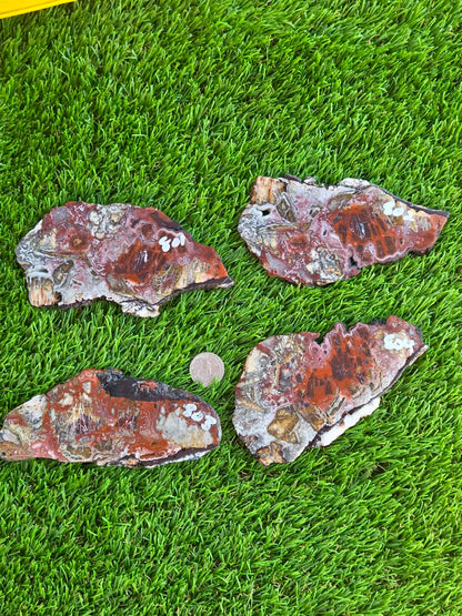 Laguna Lace Agate Slabs Q801–804