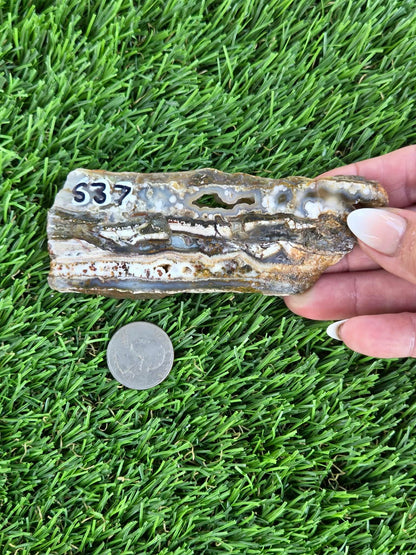 Camp Verde Agate Slabs  K534-537