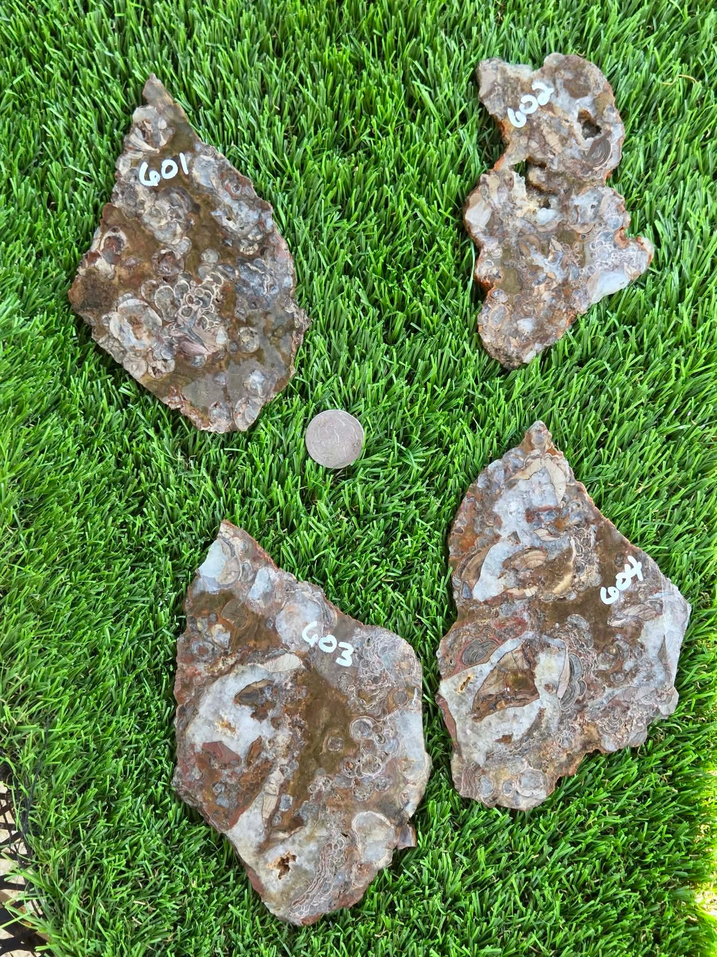 Green Mushroom Rhyolite M601-604