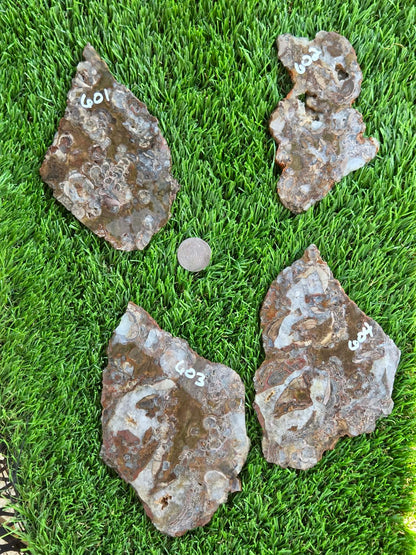 Green Mushroom Rhyolite M601-604