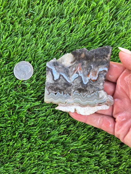 Gray Banded Crazy Lace Agate Slabs O717–723