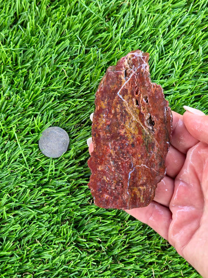 Red & Mustard Jasper Slabs N652-657