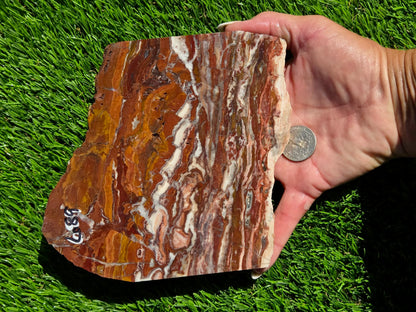 Banded Brecciated Jasper with Agate Slabs O686–689