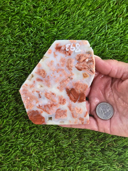 Cotton Candy Agate Slabs S891–895