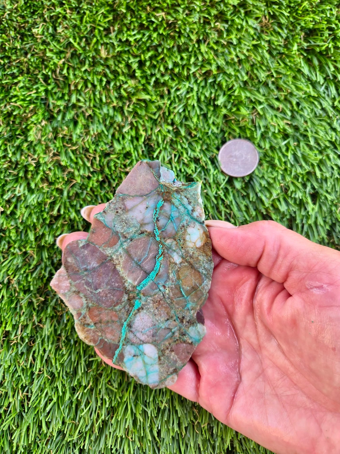 Desert Mosaic Puddingstone with Malachite Slabs A46-49