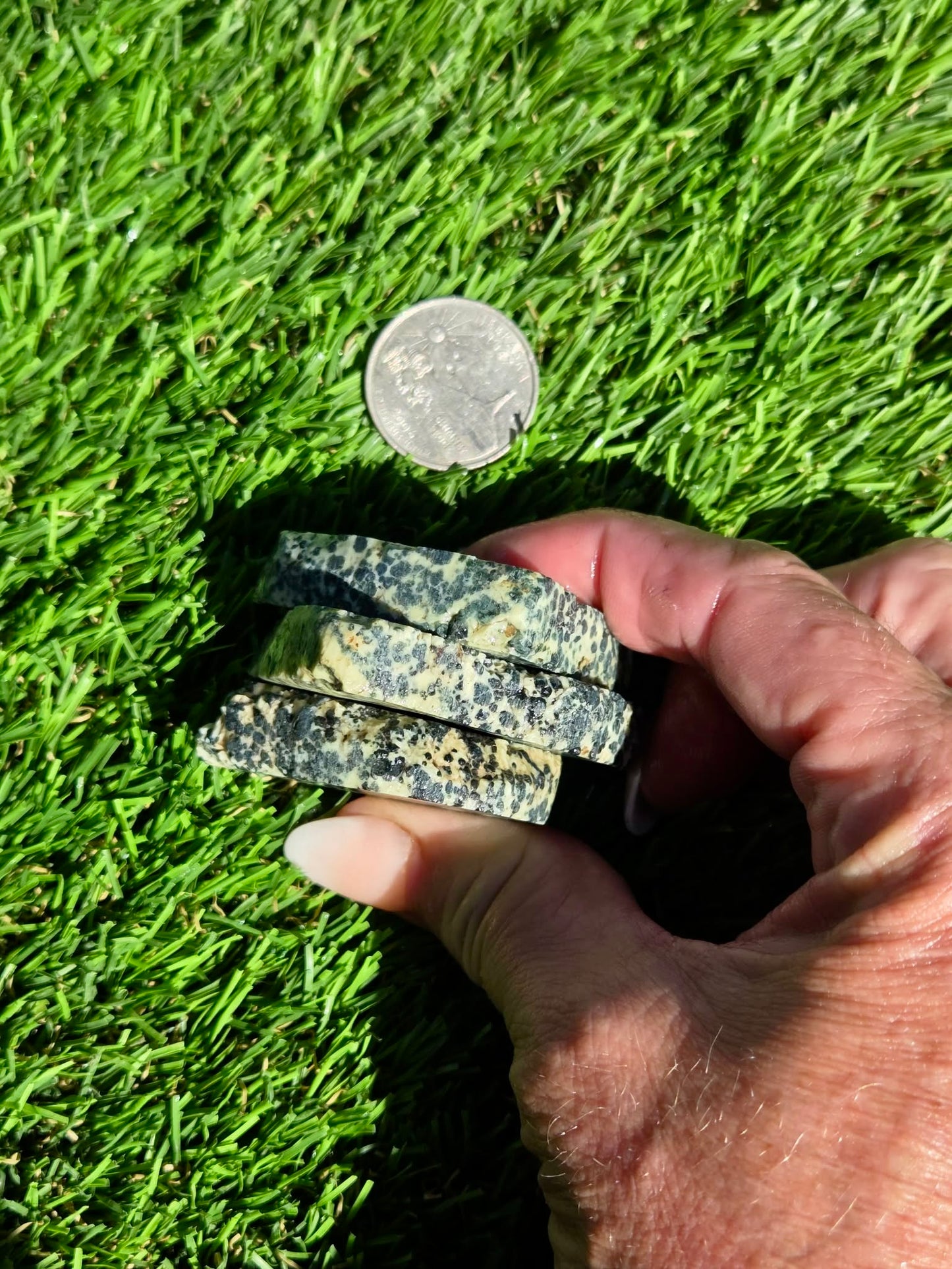 Spotted Jasper – Dalmatian-Type Slab Bundle SB131