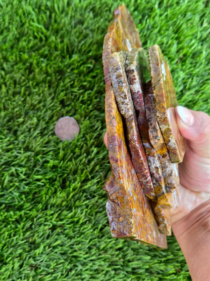 Camp Verde Moss Agate Slabs M591-594