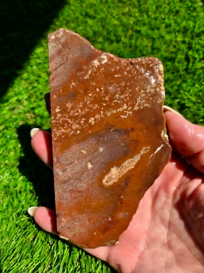 Rustic Red Brecciated Jasper Slabs H363-365