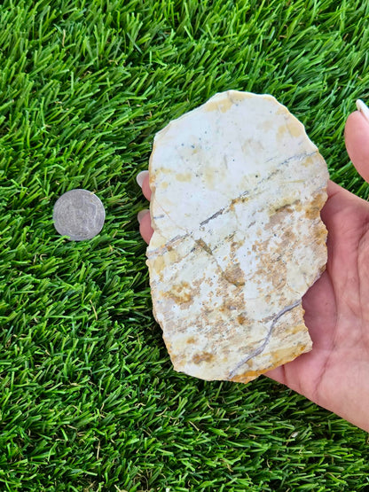 Picture Agate Slabs L569-570